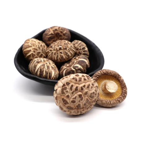BZG Tea Flower Dried Mushroom 80g