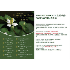 Eosungcho Persimmon Leaf Tea