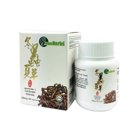 GreenHerbs Cordyceps Sinensis