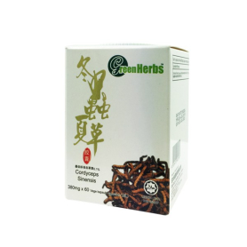 GreenHerbs Cordyceps Sinensis