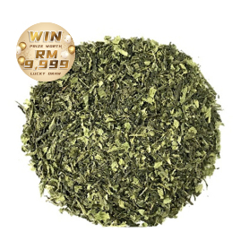 TEA ONE Moroccan Mint Green Tea