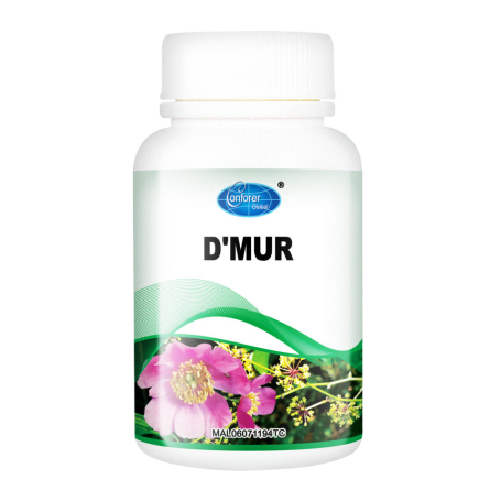 Conforer D’mur - H33