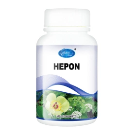 Conforer Hepon - H14