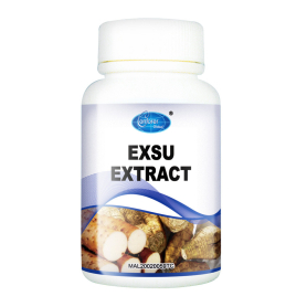 Conforer Exsu Extract - H10