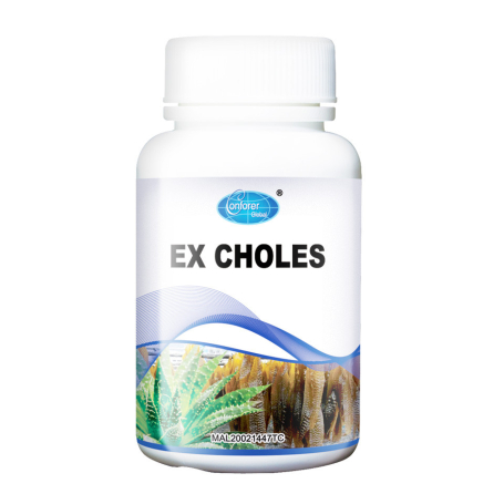 Conforer Ex Choles - H09