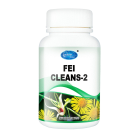 Conforer Fei Cleans - H06