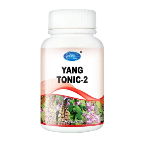 Conforer Yang Tonic - H01