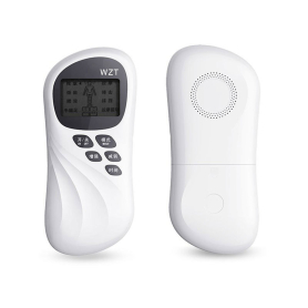Digital Meridian Physiotherapy Massager