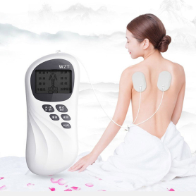 Digital Meridian Physiotherapy Massager