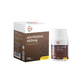 GKB Antrodia