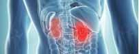 Kidney Health | Khang Shen Tongkat Ali Capsule