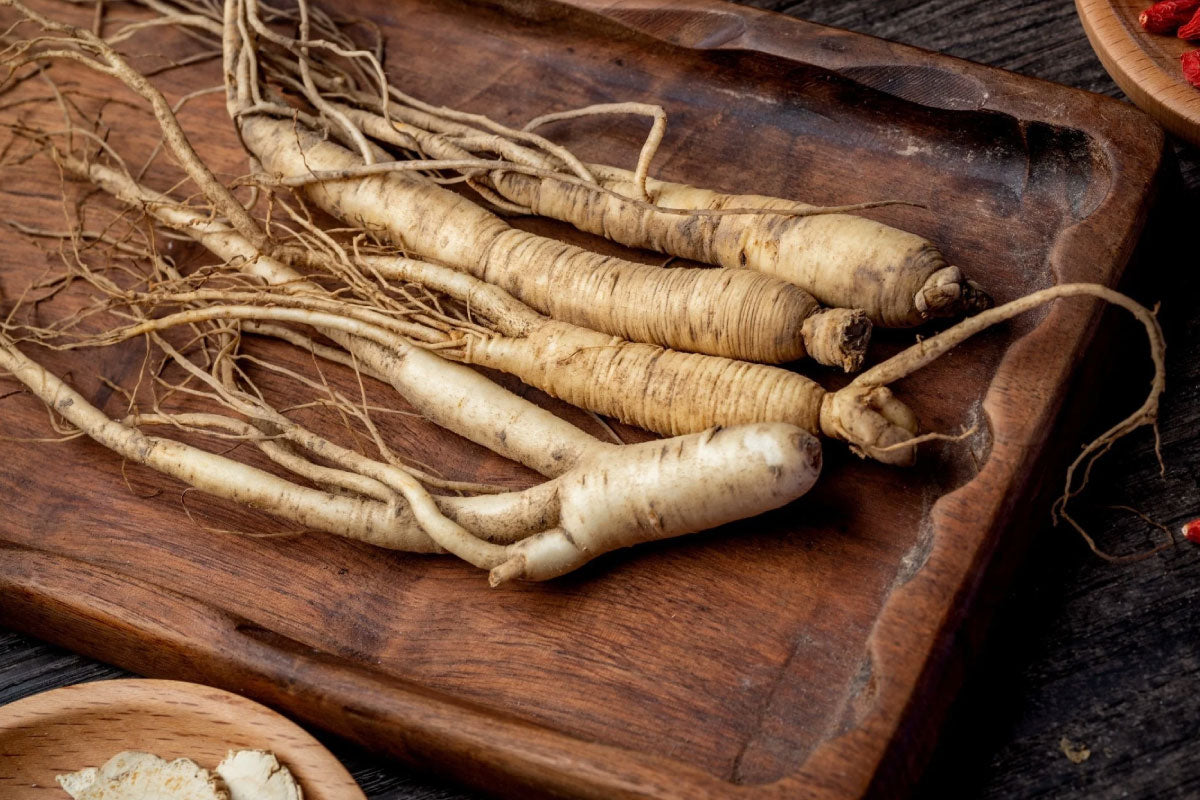 Suffered from Heatiness or Nosebleeds? 5 Deepest Myths About American and Korean Ginseng You Must Stop Believing!