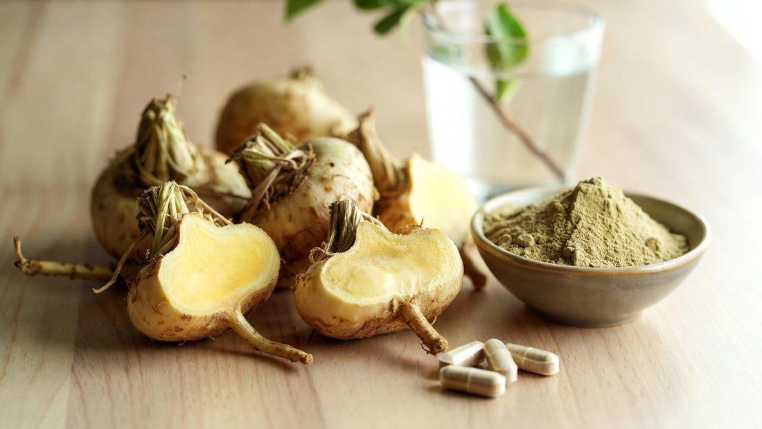 Maca Booster Malaysia: Untuk Apa, Safe & How to Choose | TruHerbs