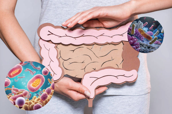 How to Pick the Best Probiotics in Malaysia I Bai Zi Gui