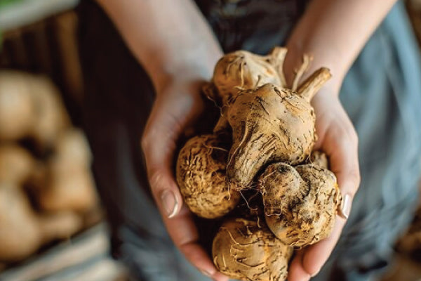 Understanding the Benefits and Proper Use of Maca: Don't Eat It Wrong! Bai Zi Gui Guides You Through Maca's Efficacy and Correct Usage