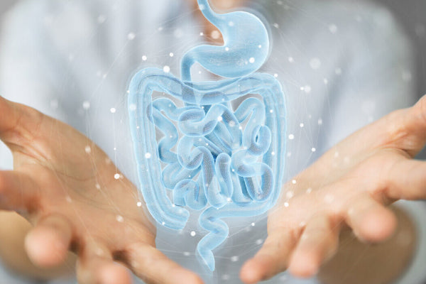 What Happens If You Take Probiotics Every Day? I Malaysia