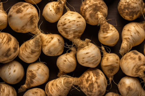 Who Should Avoid Maca? | Bai Zi Gui