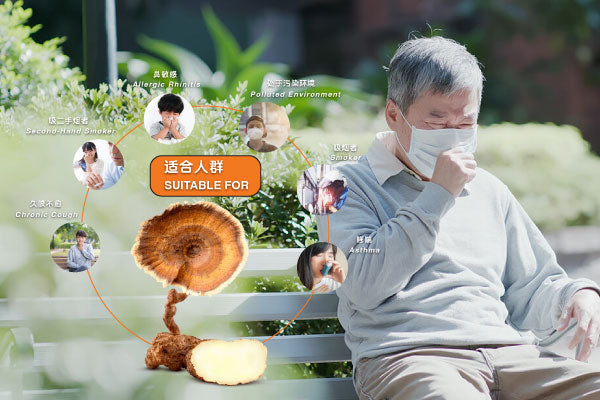 Can Tiger Milk Mushroom Improve Cough and Nasal Sensitivity? | BaiZiGui