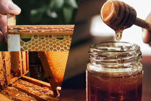Are Propolis and Honey the Same?