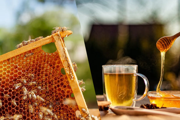 How to Determine If Honey Is Real and Pure : 5 Methods I Bai Zi Gui