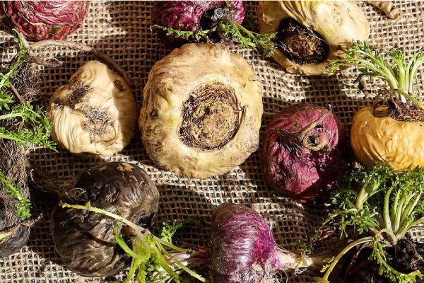Benefits (and Potential Side Effects) of Four Maca Supplements