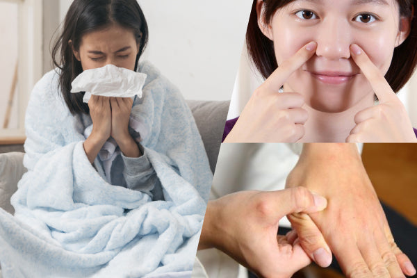 Who is Most Susceptible to the Flu? I Bai Zi Gui