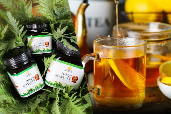 What's the Best Time to Take Kelulut Honey? Bai Zi Gui