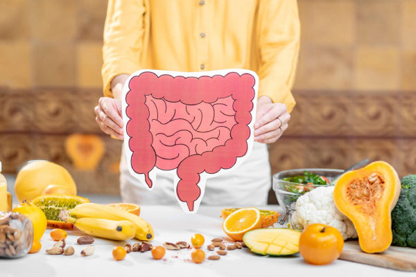 How Gut Health Affects the Immune System