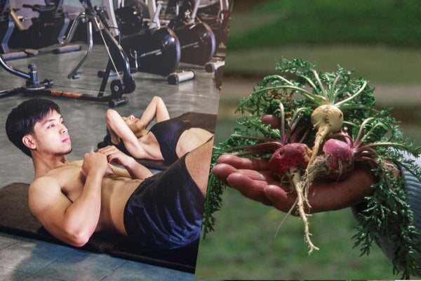 How to Choose The Right Maca Booster? | Bai Zi Gui
