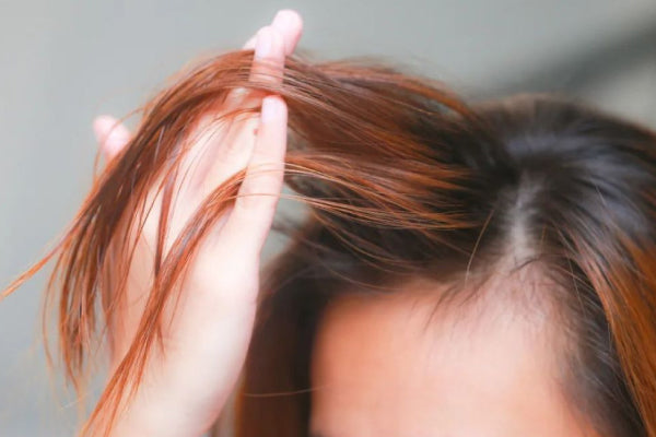 Fine Hair: A Sign of Hair Loss? Can You Restore Thick Hair?