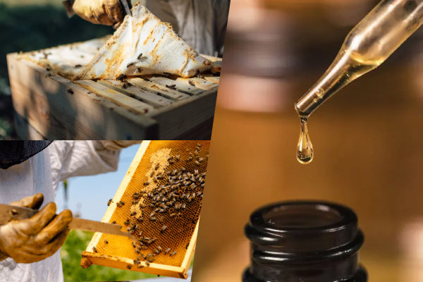 How to Consume Propolis? 6 Ways to Take Propolis Correctly | Bai Zi Gui