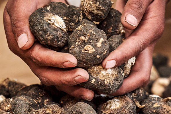 How Long Does It Take for Maca to Be Effective? Exploring the Benefits of Maca | Bai Zi Gui
