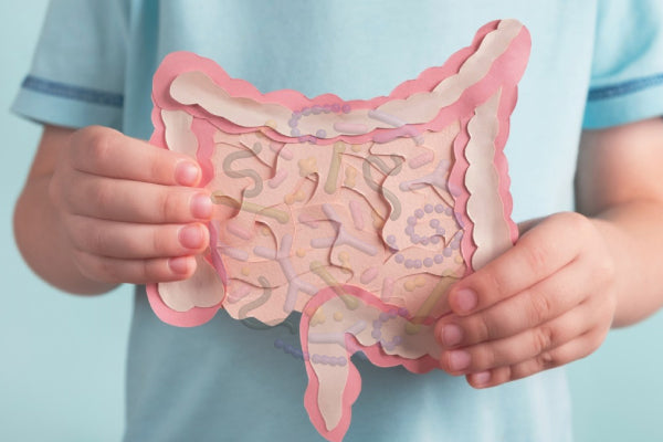 Common Misconceptions About Probiotics | Bai Zi Gui