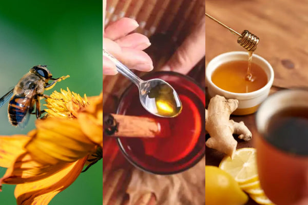 Unlocking the Power of Honey Combinations | Health Benefits Revealed I Bai Zi Gui