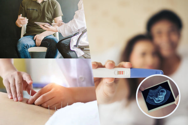 Male Infertility Has a Solution! Combining TCM and Western Medicine for Successful Fertility Treatment
