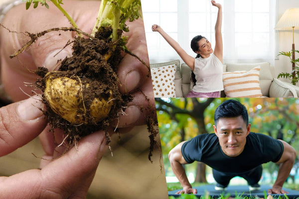 Maca Benefits for Both Men and Women: A Comprehensive Analysis