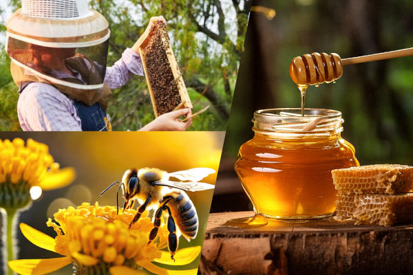 Authenticity and Quality of Honey: How to Distinguish Real from Fake