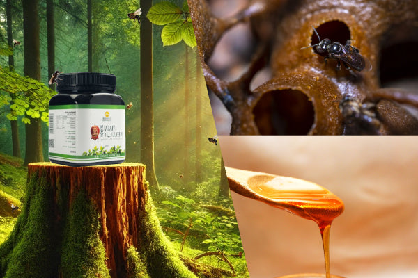 Stingless Bee Honey vs. Normal Honey – Bai Zi Gui