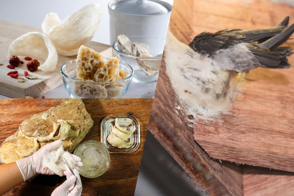 Edible Bird's Nests: Nutrients, Benefits, Downsides