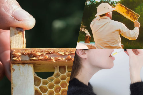 Why is Propolis Called a "Natural Antibiotic"? A Scientific Analysis of Its Amazing Benefits!