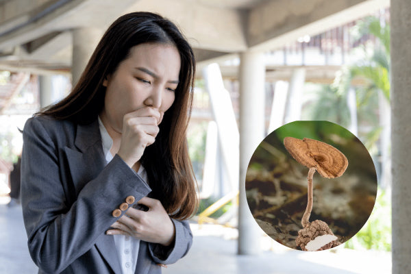 How Tiger Milk Mushroom Boosts Immunity & Lung Health