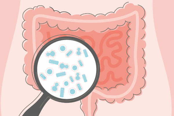 Probiotics Malaysia: The Science Behind Gut Health and Choosing the Right Probiotics