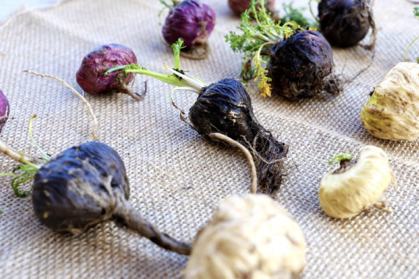 Maca Booster for Men | How It Improves Stamina & Performance