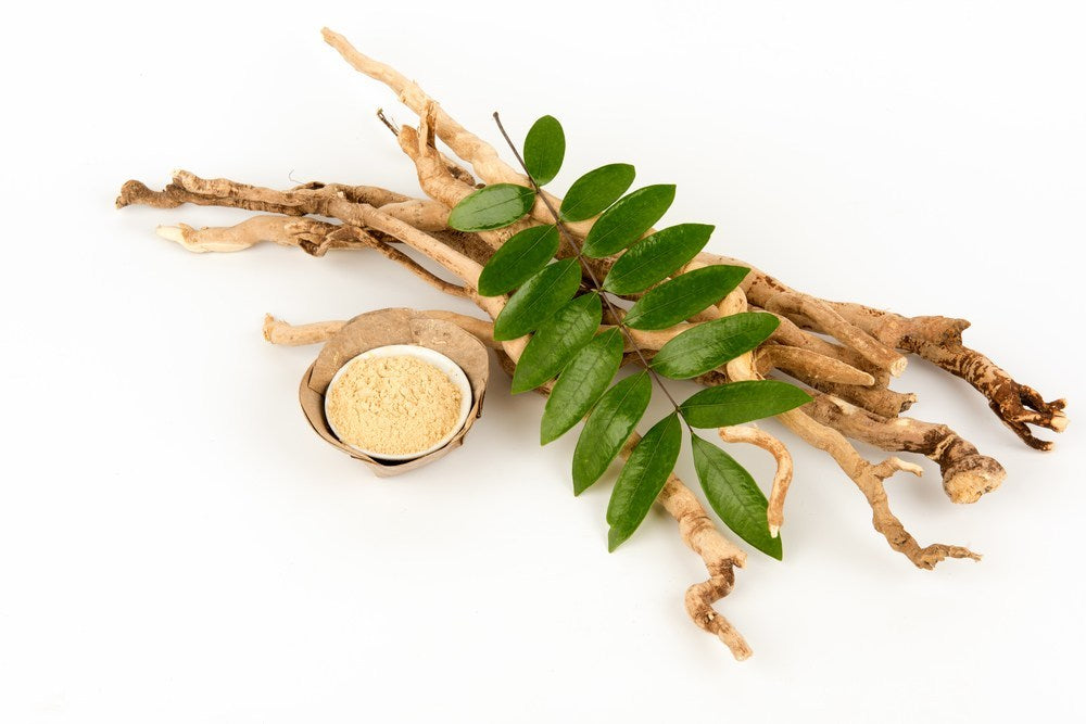 Maca Booster: Men's Health Supplement | Bai Zi Gui