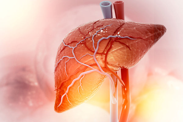 Ultimate Guide to Liver Detox: 15 Dietary and Lifestyle Habits to Enhance Liver Health