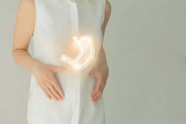 Is Poor Digestion Linked to Dampness? Baizigui Tells You the Truth