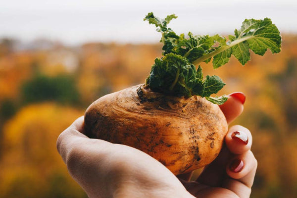 Maca Booster | A Natural Way to Boost Metabolism