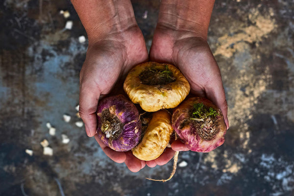 Maca Demystified: The Natural Weapon Against Male Sexual Dysfunction