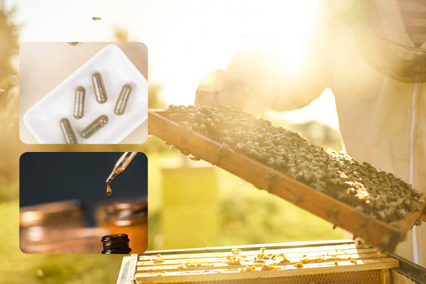 Best Ways to Take Propolis: Liquid vs. Capsules? A Scientific Guide for Smart Choices