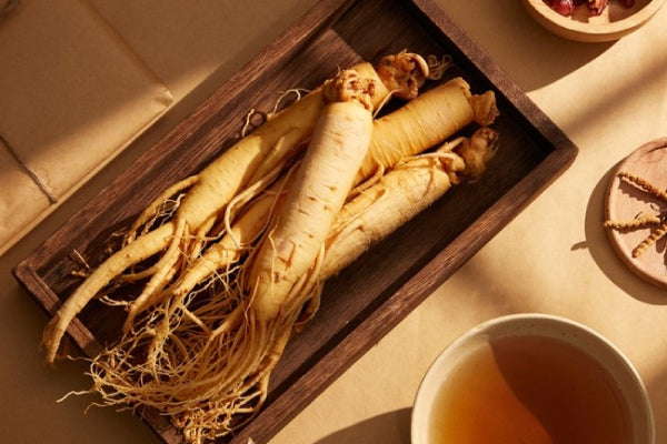 Which Ginseng Is Right for You? A Comprehensive Guide to 4 Types and Matching Body Constitutions